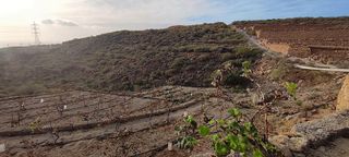 Terreno en venta en Chimiche en Granadilla de Abona