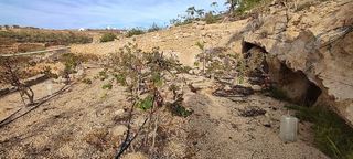 Terreno en venta en Chimiche en Granadilla de Abona