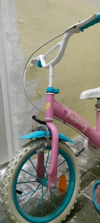 Bicicleta infantil 14' con ruedines