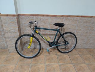 Bicicleta