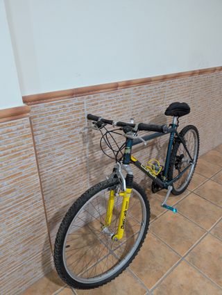 Bicicleta