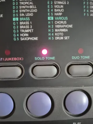 Tastiera Casio CTK-500