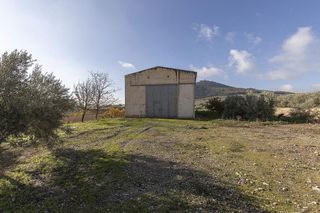 Nave industrial en venta en Albolote