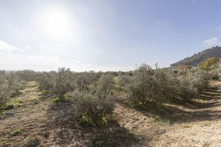 Nave industrial en venta en Albolote