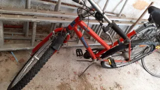 Bicicleta Roja Pegasus