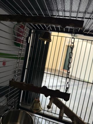 Jaula grande para loros y pájaros.