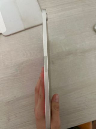 iPad mini 6 Plata (con fundas y teclado preguntar)