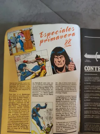 La espada salvaje de conan