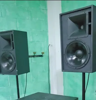 Vendo pareja de bafle columna altavoz beyma