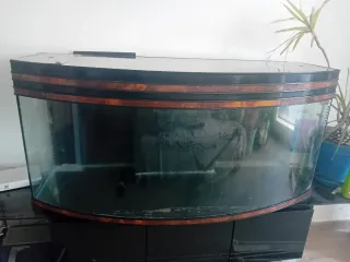 Acuario / Pecera 300L