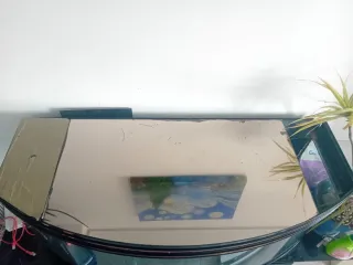 Acuario / Pecera 300L