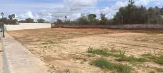 Terreno en venta en Sanlúcar la Mayor