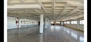 Edificio en alquiler en Carrús Est - Camí dels Magros en Elche