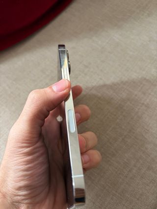 iPhone 13 Pro Max Argento