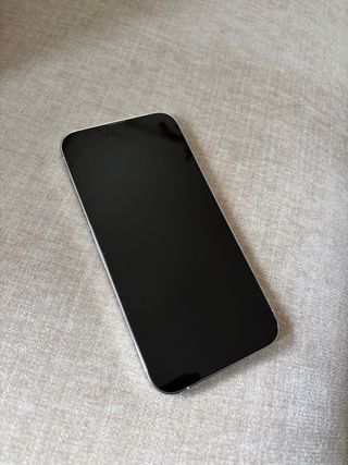 iPhone 13 Pro Max Argento