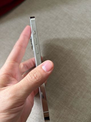 iPhone 13 Pro Max Argento