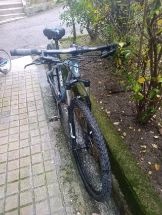 Bicicleta MTB B-Pro 29