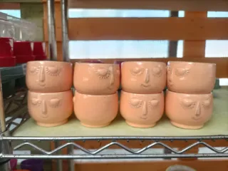 Set 10 Mini Vasi Pianta Grassa