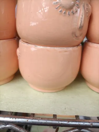 Set 10 Mini Vasi Pianta Grassa