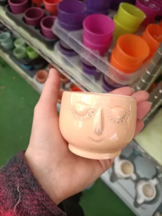 Set 10 Mini Vasi Pianta Grassa