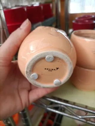 Set 10 Mini Vasi Pianta Grassa