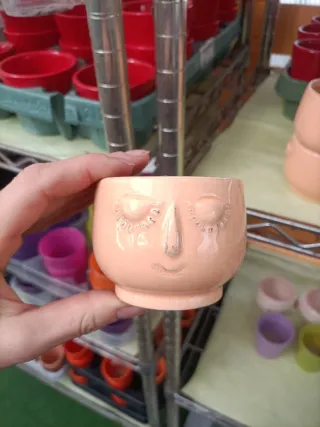 Set 10 Mini Vasi Pianta Grassa