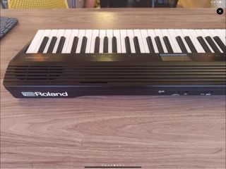 Roland GO:PIANO 61 teclas