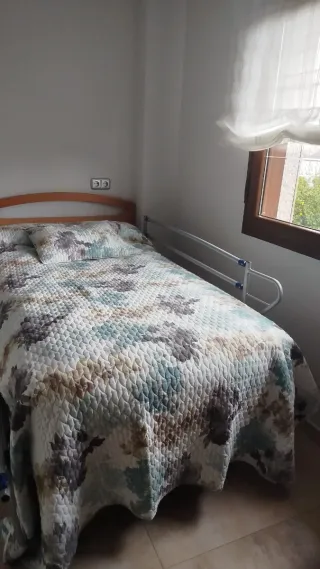 Cama articulada con carro elevador