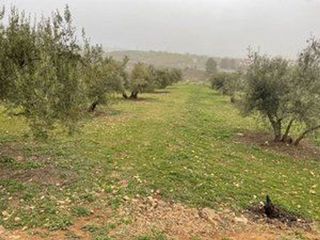 Solar en venta en Albolote