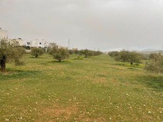 Solar en venta en Albolote