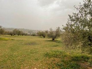 Solar en venta en Albolote