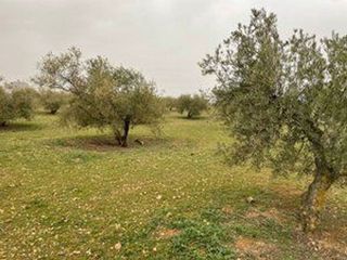 Solar en venta en Albolote