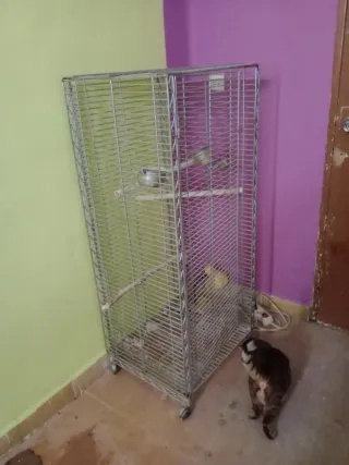 Jaula grande para pájaros