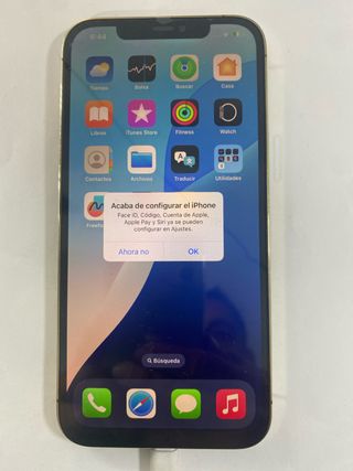 iPhone 12 Pro Max Apple