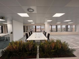Oficina en alquiler en Castilla en Madrid