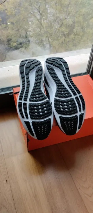 Zapatillas Nike Air Zoom Pegasus 40 Talla 44