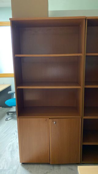 Librería de madera con puertas