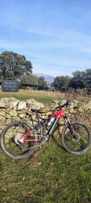 Ebike Megamo Crave 40