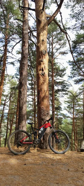 Ebike Megamo Crave 40