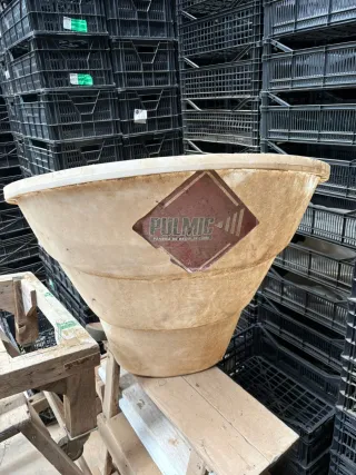 Recogedor alcachofas Pulmic