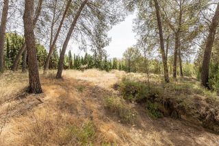 Terreno en venta en Albolote