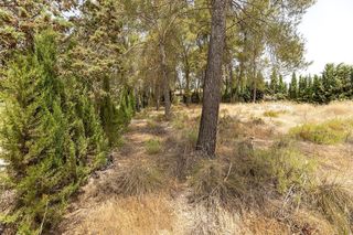 Terreno en venta en Albolote