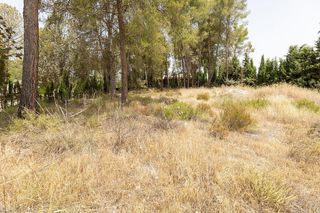 Terreno en venta en Albolote