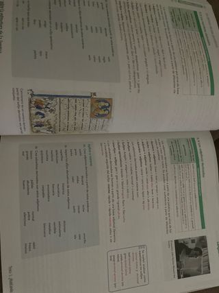 LENGUA CASTELLANA Y LITERATURA Vicens Vives