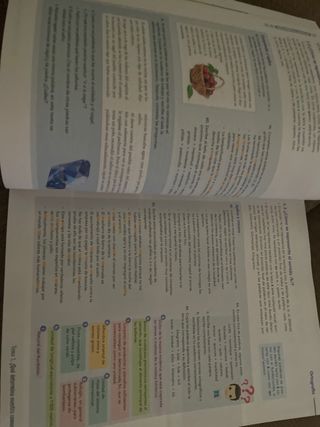 LENGUA CASTELLANA Y LITERATURA Vicens Vives