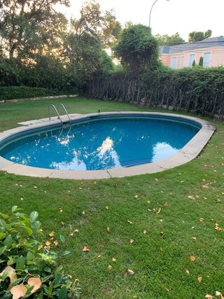 Jardinero profesional