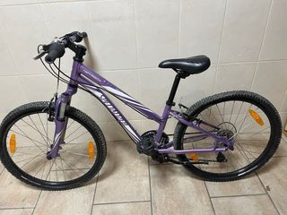 Bicicleta Specialized Hotrock Morada