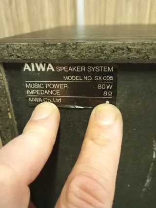 Pareja Altavoces Aiwa SX-005 Negros