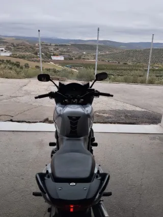 Honda Plata Moto