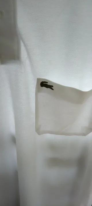 2 polos Lacoste caballero verde